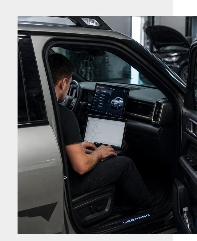 Русификация BYD Leopard 3 в Шуе по цене от 20457 р. | ФастМобиль-Шуя